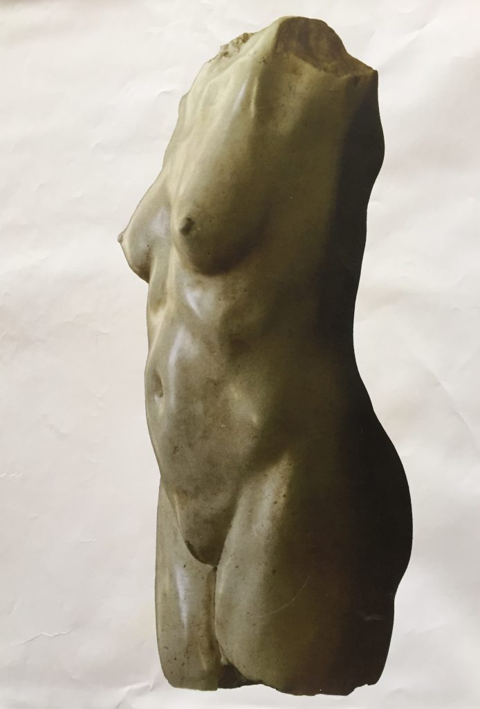 Torse / Etude
Terre, Plâtre - 1992